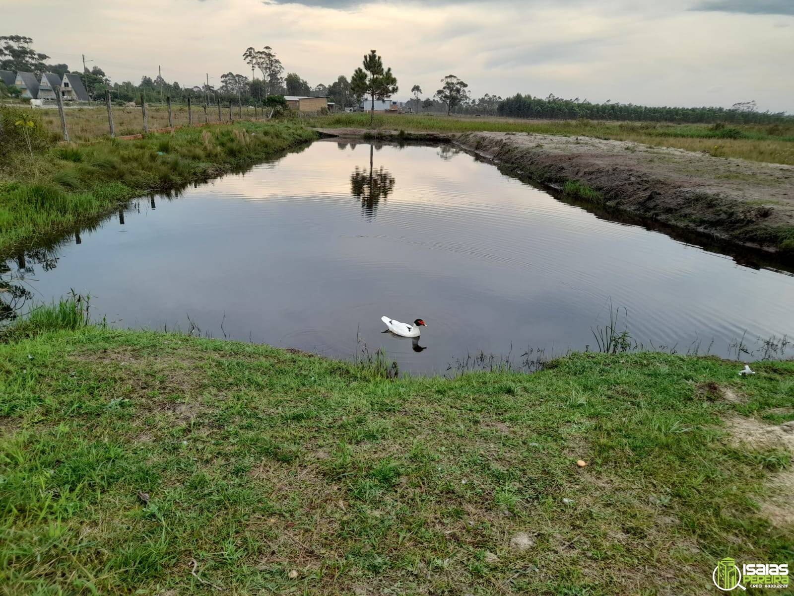 Vendo Uma Extensão de terra para fazer pousada ou sitio, Em Balneário Arroio Do Silva, SC