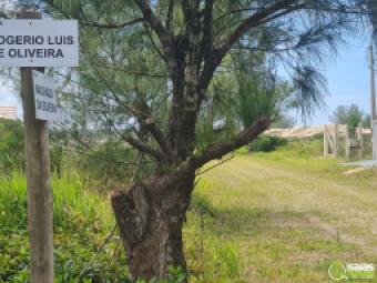 vendo terreno no Bairro Mira Flores, praia da lagoinhas.