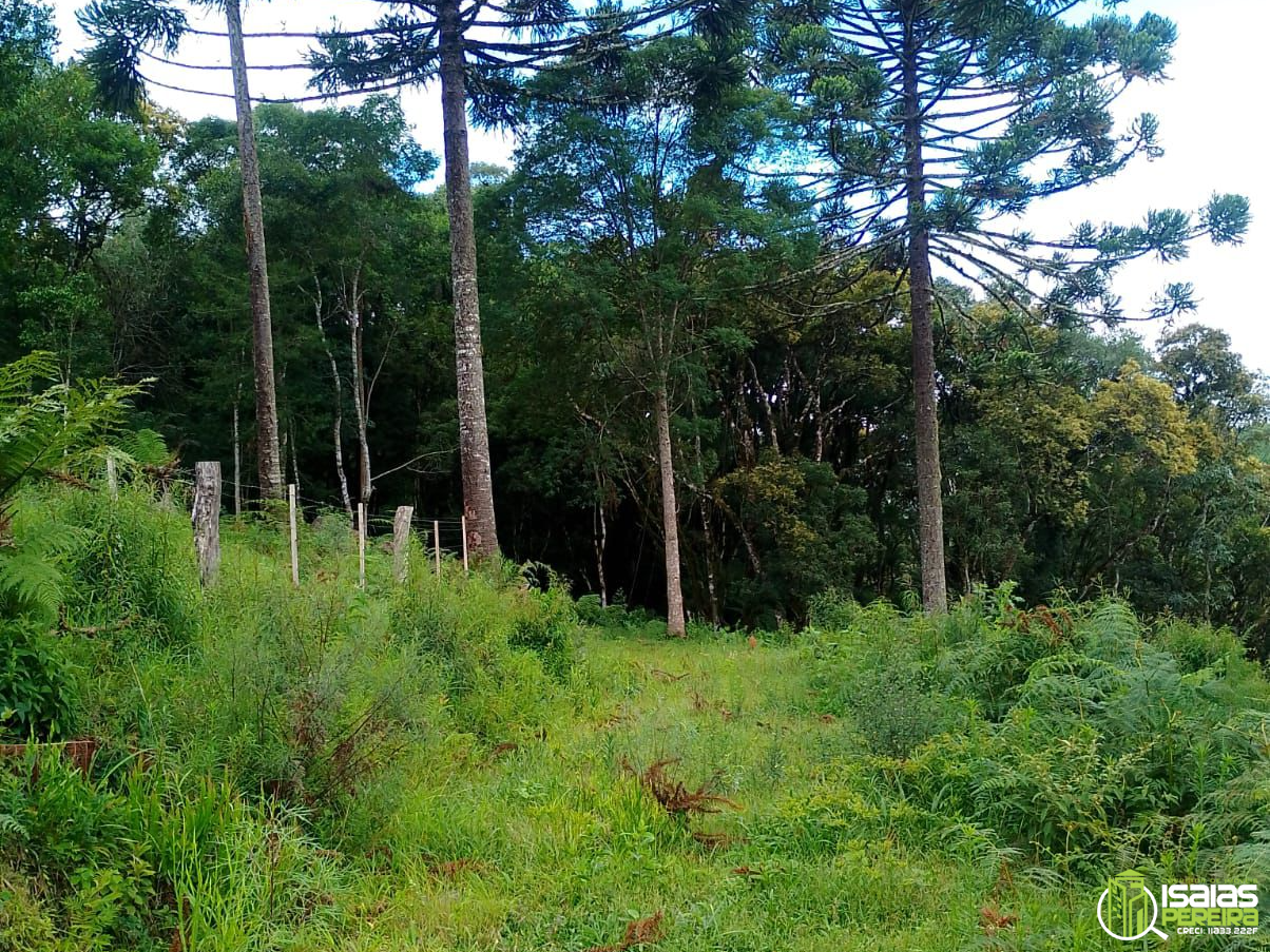 ÁREA URBANA Á VENDA-SÃO JOSÉ DOS AUSENTES-RS