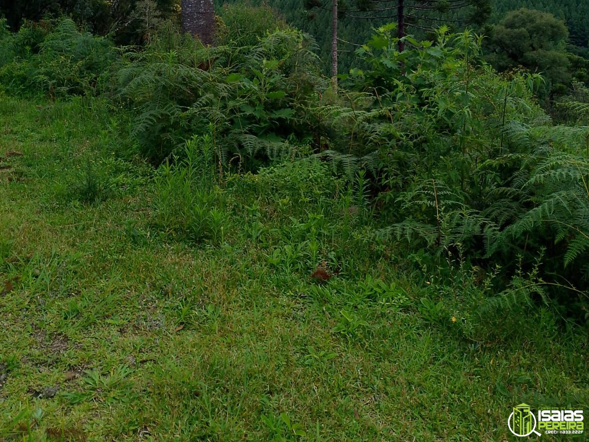 ÁREA URBANA Á VENDA-SÃO JOSÉ DOS AUSENTES-RS