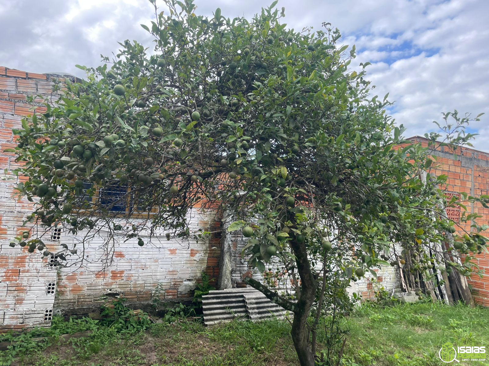 VENDE-SE CASA – BALNEÁRIO ARROIO DO SILVA/SC Bairro Centro – Forqueta